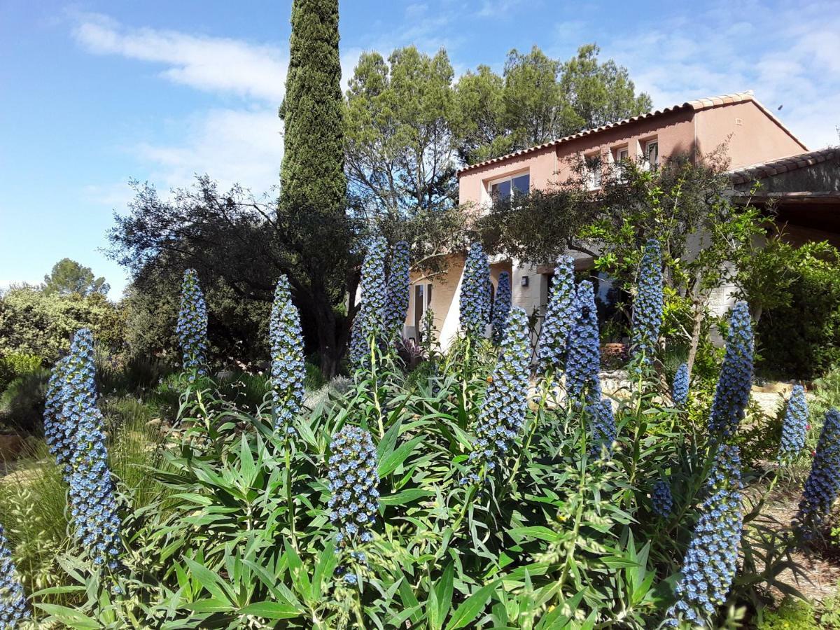 Bed and Breakfast L'Atelier Saint-Maximin  Exteriér fotografie